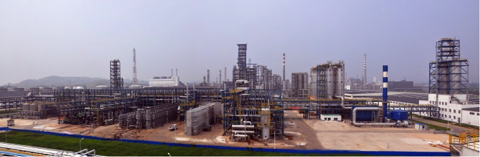 plant overview