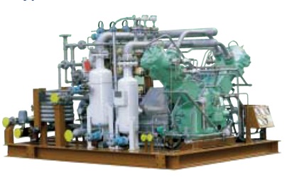 API618 V Type