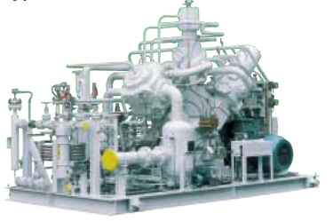 API618 W Type